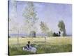 Stretched Canvas Print