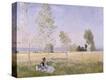 Stretched Canvas Print