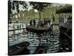 Stretched Canvas Print