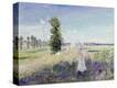 Stretched Canvas Print