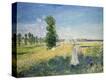 Stretched Canvas Print