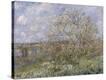 Stretched Canvas Print