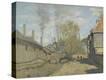 Stretched Canvas Print