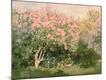 Premium Giclee Print