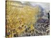 Stretched Canvas Print
