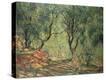 Stretched Canvas Print
