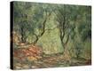 Stretched Canvas Print