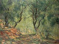 Olive Trees in the Moreno Garden, 1884-Claude Monet-Giclee Print