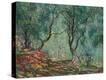 Stretched Canvas Print