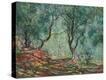 Stretched Canvas Print