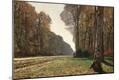 Premium Giclee Print