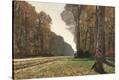 Stretched Canvas Print