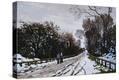 Stretched Canvas Print