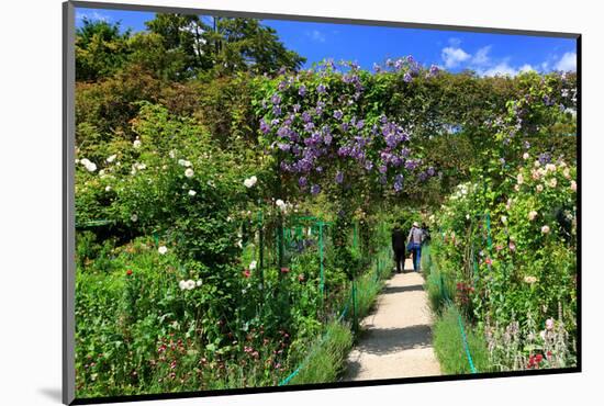 Claude Monet's Garden in Giverny, Department of Eure, Upper Normandy, France-null-Mounted Art Print