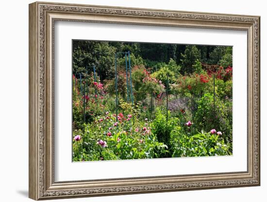 Claude Monet's Garden in Giverny, Department of Eure, Upper Normandy, France-null-Framed Art Print