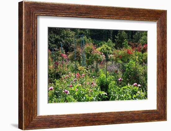 Claude Monet's Garden in Giverny, Department of Eure, Upper Normandy, France-null-Framed Art Print