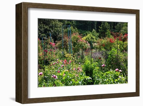 Claude Monet's Garden in Giverny, Department of Eure, Upper Normandy, France-null-Framed Art Print