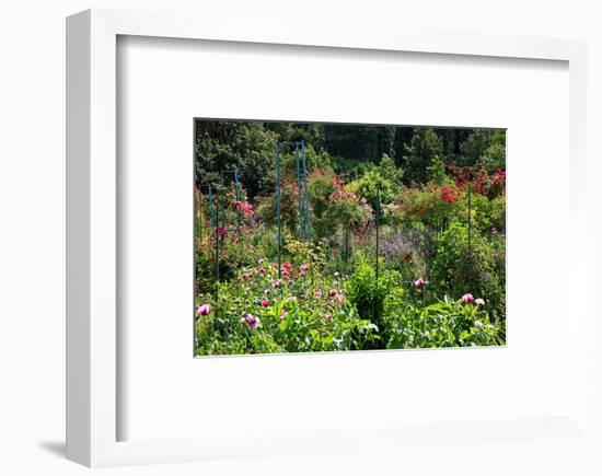 Claude Monet's Garden in Giverny, Department of Eure, Upper Normandy, France-null-Framed Art Print