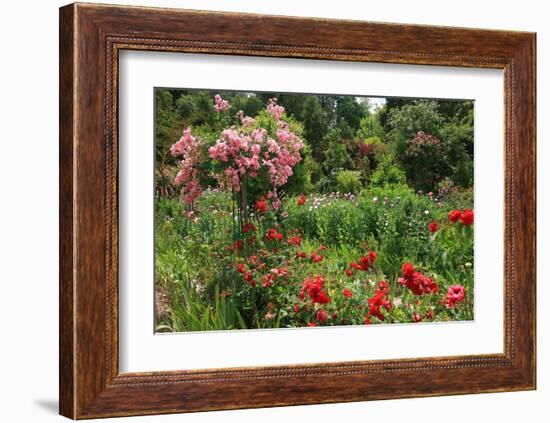 Claude Monet's Garden in Giverny, Department of Eure, Upper Normandy, France-null-Framed Art Print