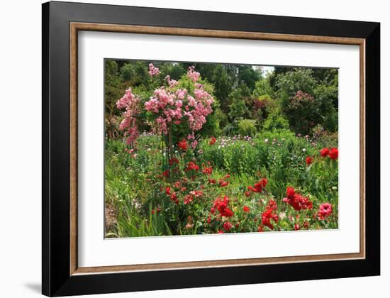 Claude Monet's Garden in Giverny, Department of Eure, Upper Normandy, France-null-Framed Art Print