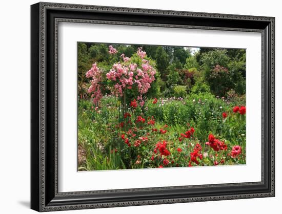 Claude Monet's Garden in Giverny, Department of Eure, Upper Normandy, France-null-Framed Art Print