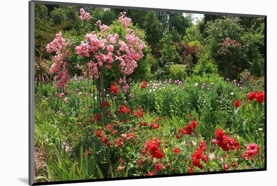 Claude Monet's Garden in Giverny, Department of Eure, Upper Normandy, France-null-Mounted Art Print