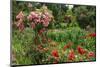 Claude Monet's Garden in Giverny, Department of Eure, Upper Normandy, France-null-Mounted Art Print