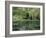 Claude Monet's Garden Pond in Giverny, France-Charles Sleicher-Framed Photographic Print