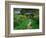 Claude Monet's House and Garden, Giverny, France-Charles Sleicher-Framed Photographic Print