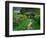 Claude Monet's House and Garden, Giverny, France-Charles Sleicher-Framed Photographic Print