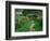 Claude Monet's House and Garden, Giverny, France-Charles Sleicher-Framed Photographic Print