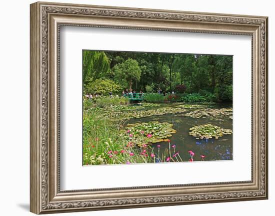 Claude Monet's Water Garden in Giverny, Department of Eure, Upper Normandy, France-null-Framed Art Print