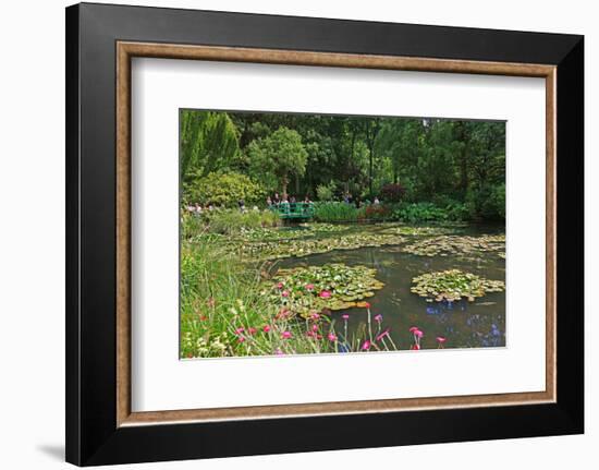 Claude Monet's Water Garden in Giverny, Department of Eure, Upper Normandy, France-null-Framed Art Print