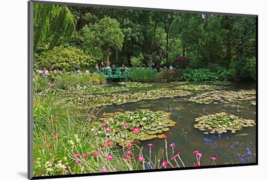 Claude Monet's Water Garden in Giverny, Department of Eure, Upper Normandy, France-null-Mounted Art Print