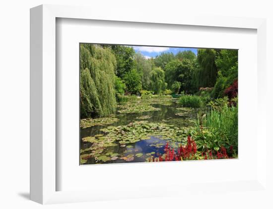 Claude Monet's Water Garden in Giverny, Department of Eure, Upper Normandy, France-null-Framed Art Print