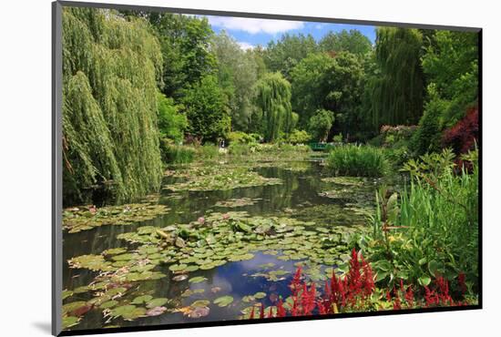 Claude Monet's Water Garden in Giverny, Department of Eure, Upper Normandy, France-null-Mounted Art Print