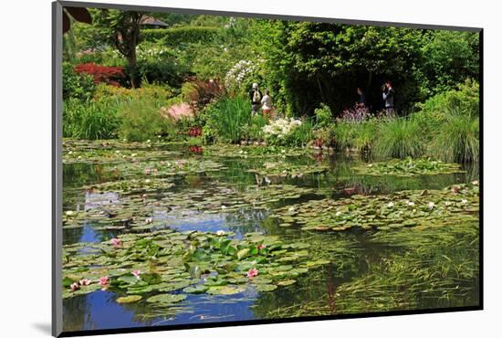 Claude Monet's Water Garden in Giverny, Department of Eure, Upper Normandy, France-null-Mounted Art Print