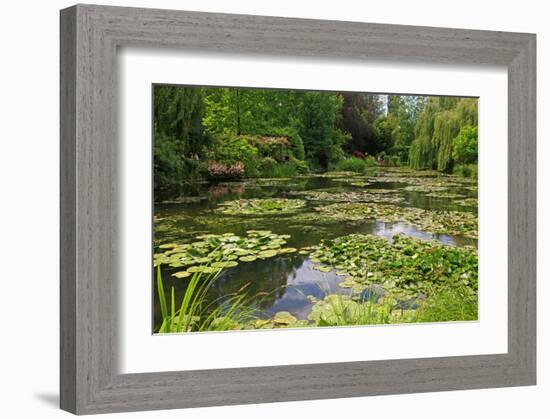 Claude Monet's Water Garden in Giverny, Department of Eure, Upper Normandy, France-null-Framed Art Print