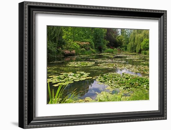 Claude Monet's Water Garden in Giverny, Department of Eure, Upper Normandy, France-null-Framed Art Print