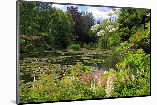 Claude Monet's Water Garden in Giverny, Department of Eure, Upper Normandy, France-null-Mounted Art Print