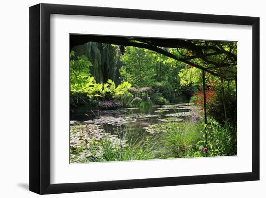 Claude Monet's Water Garden in Giverny, Department of Eure, Upper Normandy, France-null-Framed Art Print