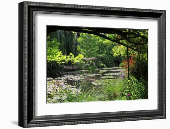 Claude Monet's Water Garden in Giverny, Department of Eure, Upper Normandy, France-null-Framed Art Print