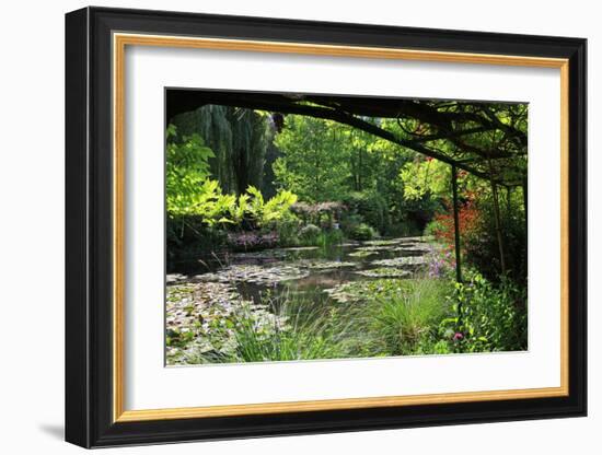 Claude Monet's Water Garden in Giverny, Department of Eure, Upper Normandy, France-null-Framed Art Print