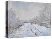 Stretched Canvas Print
