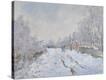 Stretched Canvas Print