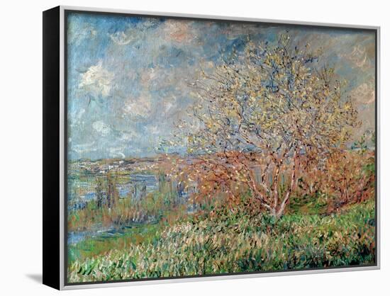 Framed Canvas Print, , large