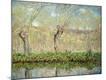 Premium Giclee Print