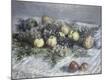 Premium Giclee Print