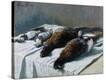 Stretched Canvas Print