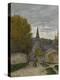 Stretched Canvas Print